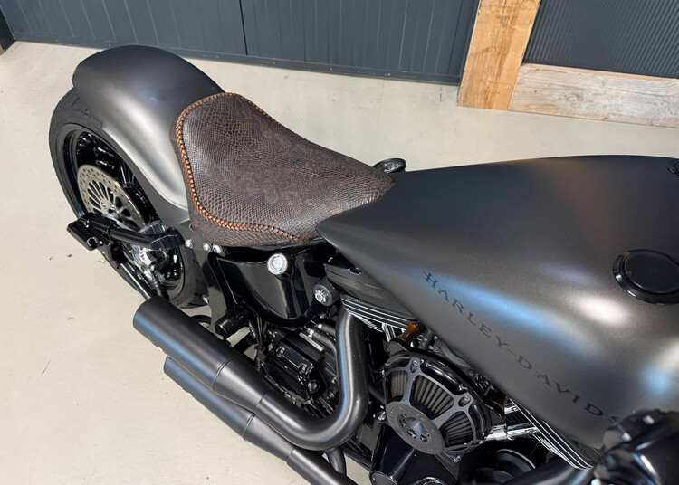 Custom Softail 2004