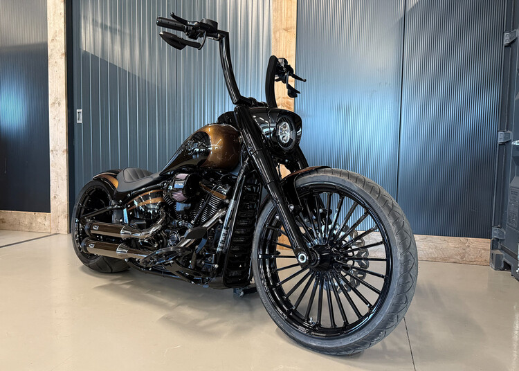 'Dark Flame' Custom Fatboy