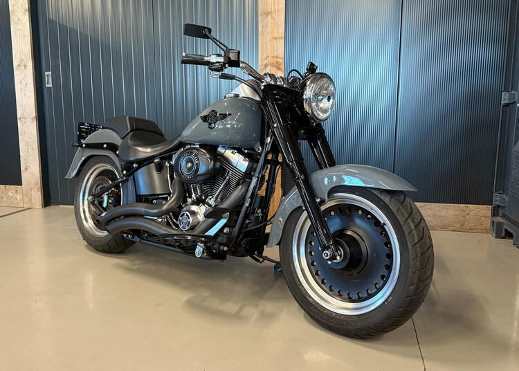 *FLSTF Fatboy Special 2010