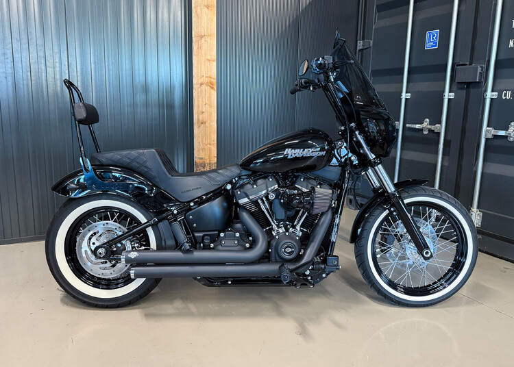 FXBB Street Bob 2019