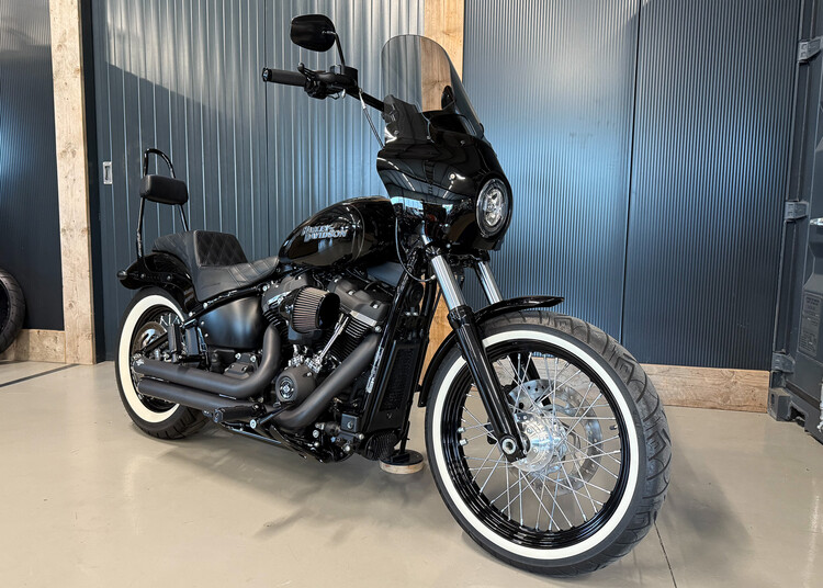 FXBB Street Bob 2019