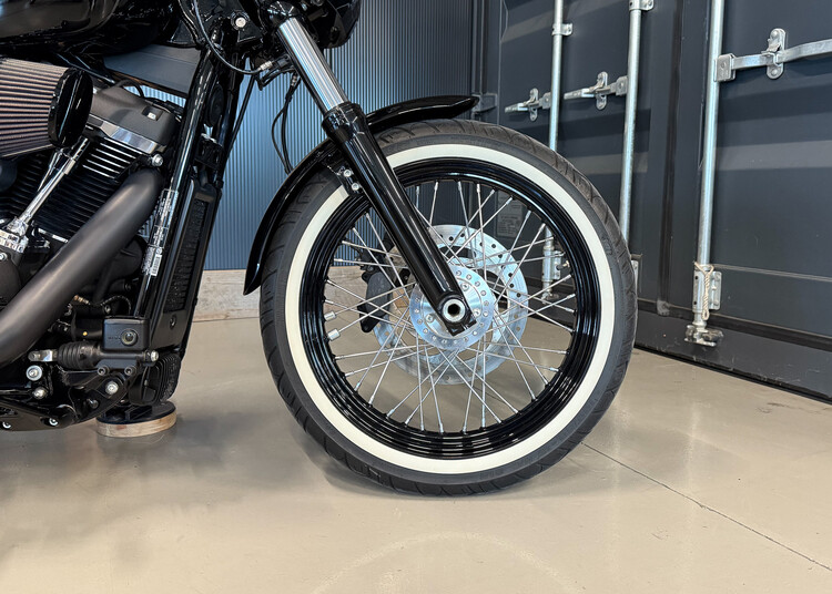FXBB Street Bob 2019