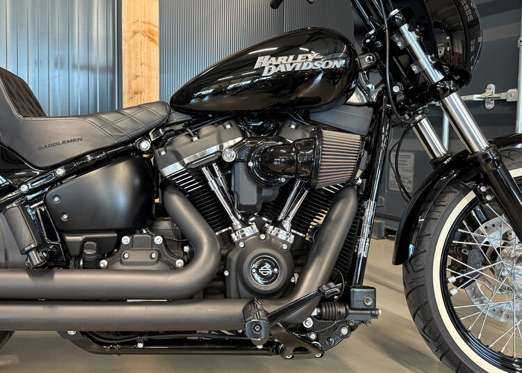 FXBB Street Bob 2019