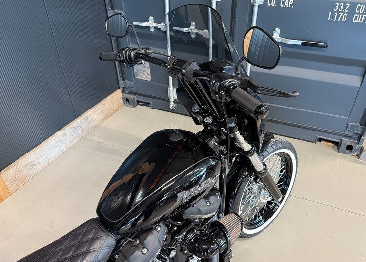 FXBB Street Bob 2019