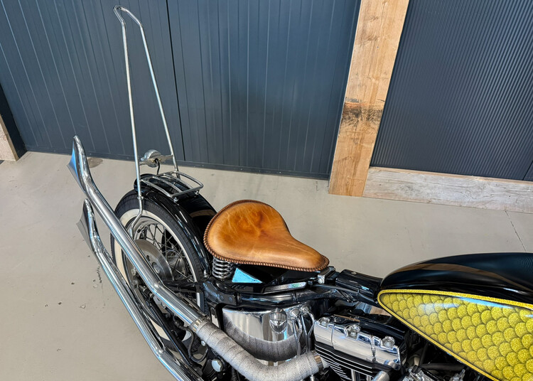 Custom bobber 2001