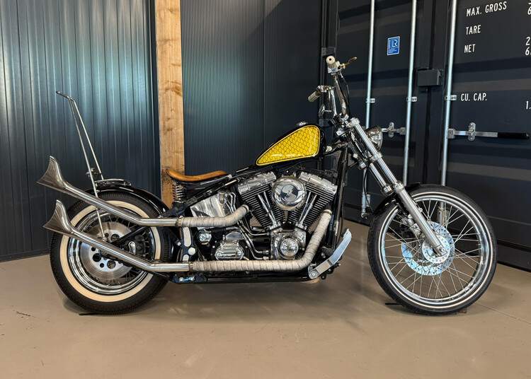 Custom bobber 2001