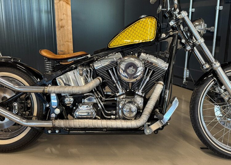 Custom bobber 2001