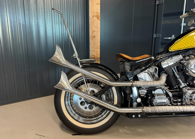 Custom bobber 2001