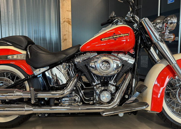 FLSTN Softail Deluxe 2009