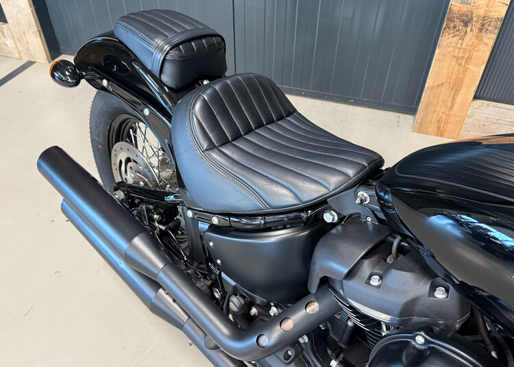 FXBB Street Bob 107 2019