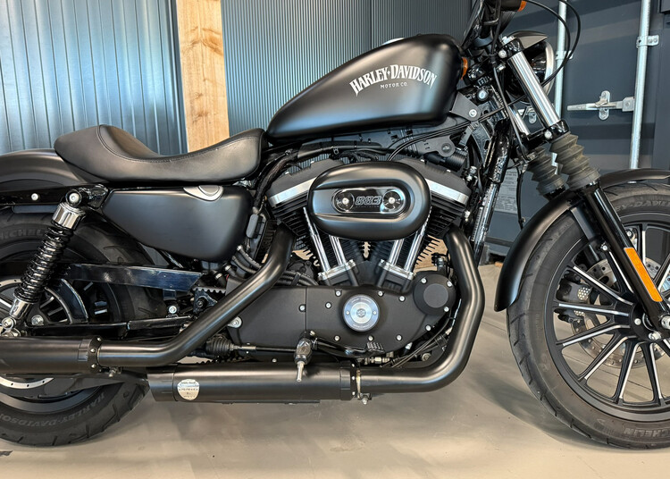 XL 883 N Sportster Iron 2015