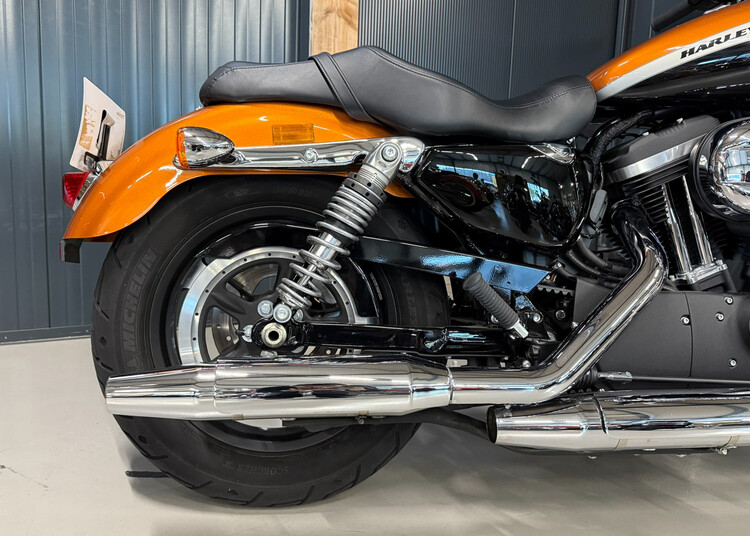 Sportster XL1200C Special 2016