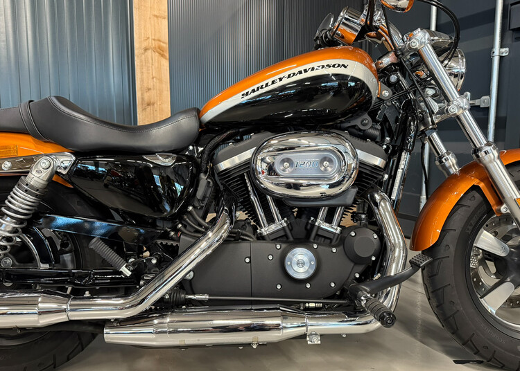 Sportster XL1200C Special 2016