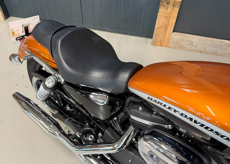 Sportster XL1200C Special 2016